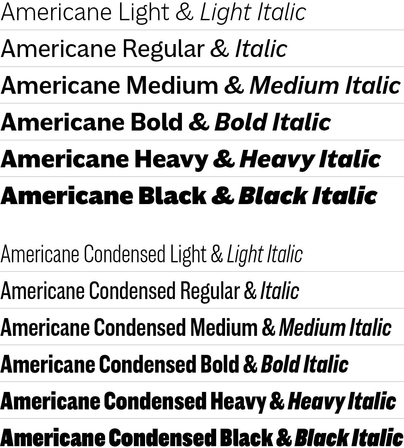 The Americane type system contains 24 Fonts